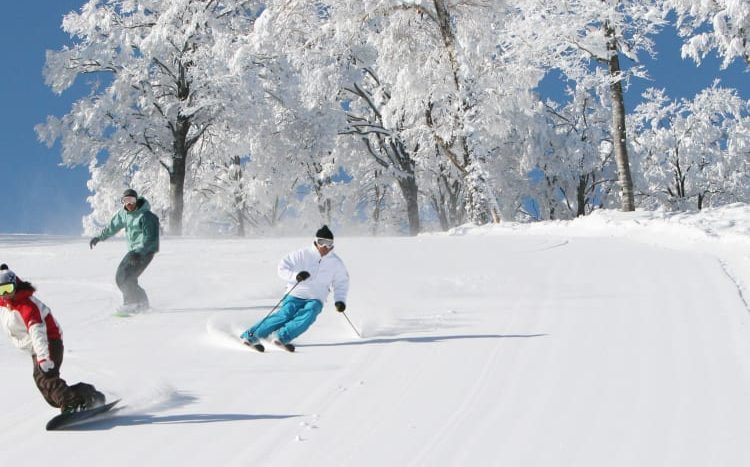 【Hokkaido Furano】Kaku Place Deluxe 1-3 Bedroom Apartments
