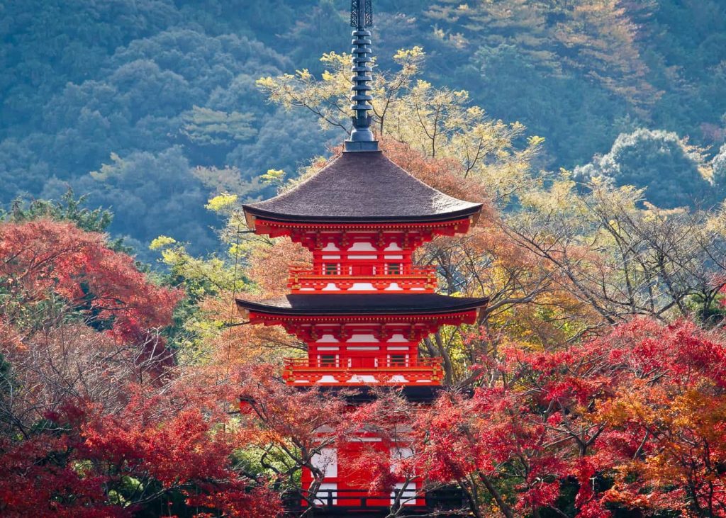 京都指南