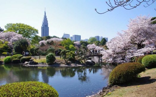 【Tokyo】The Parkhouse Shinjuku-Gyoen Nishi 2 Bedrooms Apartment