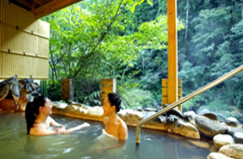 【ONSEN RYOKAN】 100% Natural hot hydrogen carbonate spring in Kyushu
