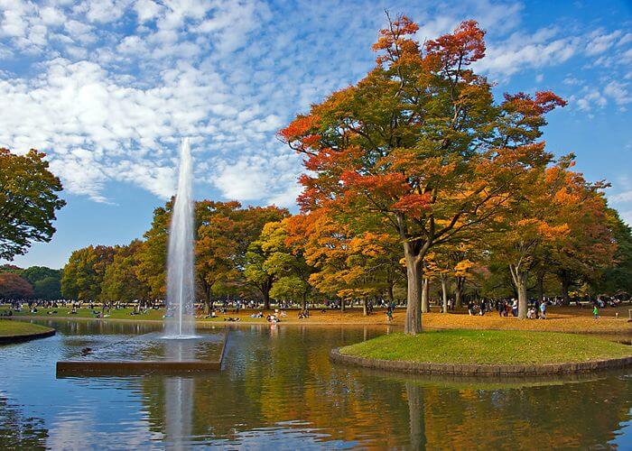 Tokyo Yoyogi Park