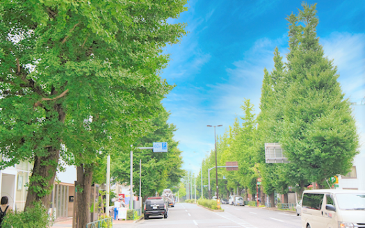 【Tokyo】Shirokanedai Station Area Luxury Apartments