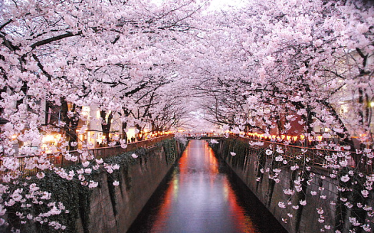 【Tokyo】 Nakameguro and Meguro Station Area Luxury Apartments
