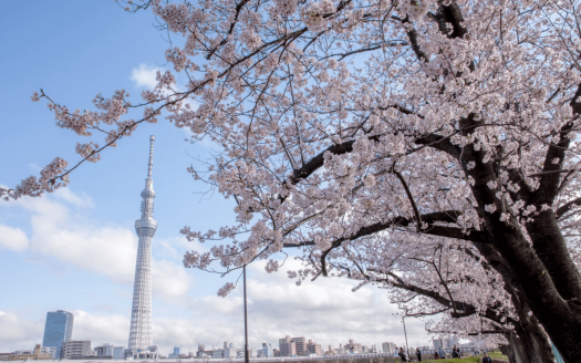 【Tokyo】Sumida Ward HY’s Sumida Park Residence 1 Bedroom Apartment