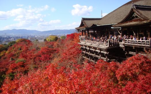 【Hotel】Kyoto Nakagyo Ward Hotel at Shijo